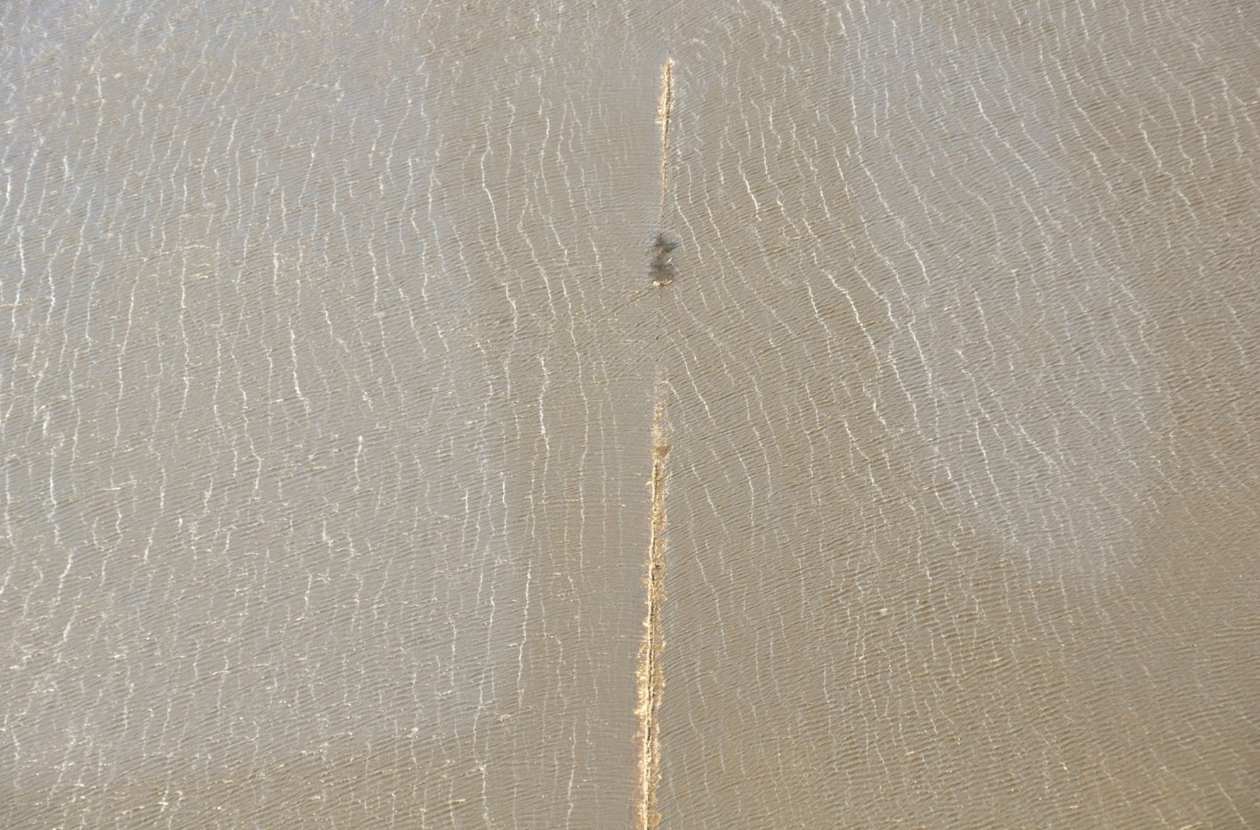 James River flooding, March 30 (22).jpg